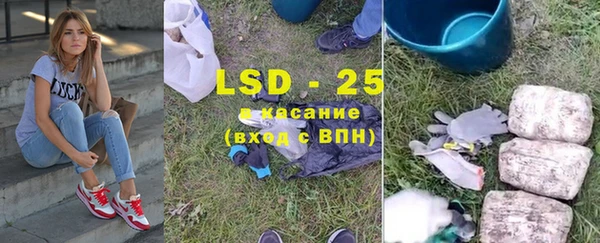 гашик Белокуриха